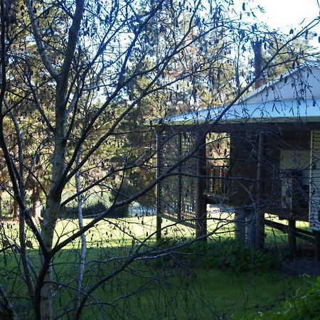 Hawke Brook Chalets Pemberton Luaran gambar