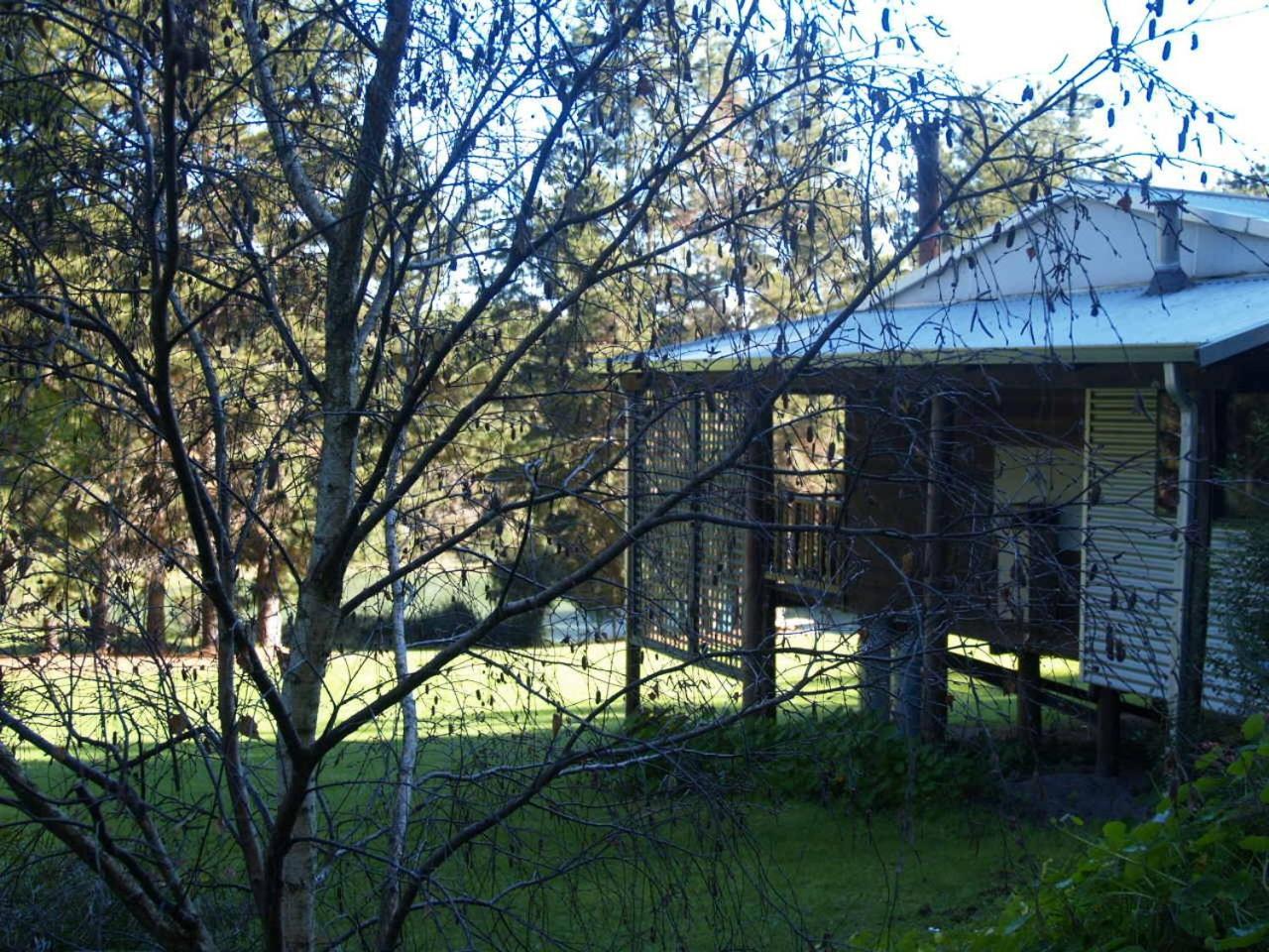 Hawke Brook Chalets Pemberton Luaran gambar